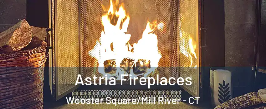 Astria Fireplaces Wooster Square/Mill River - CT