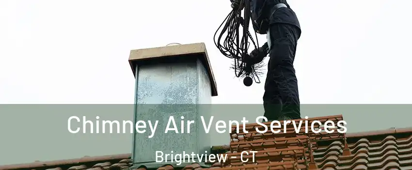 Chimney Air Vent Services Brightview - CT