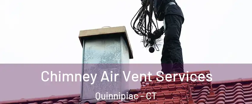 Chimney Air Vent Services Quinnipiac - CT