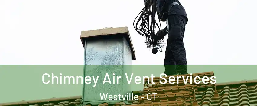 Chimney Air Vent Services Westville - CT