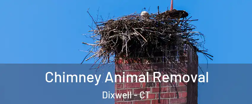 Chimney Animal Removal Dixwell - CT