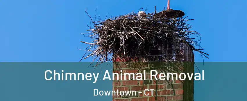 Chimney Animal Removal Downtown - CT