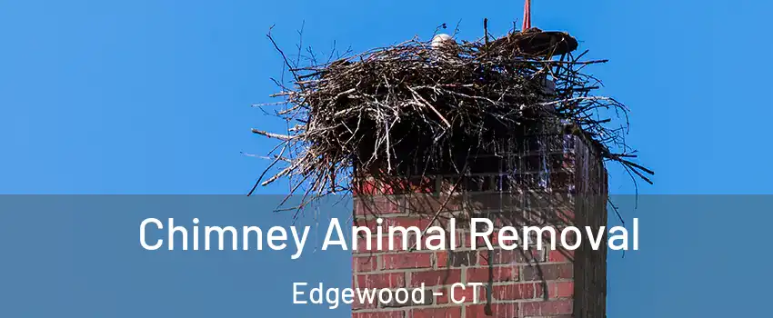 Chimney Animal Removal Edgewood - CT