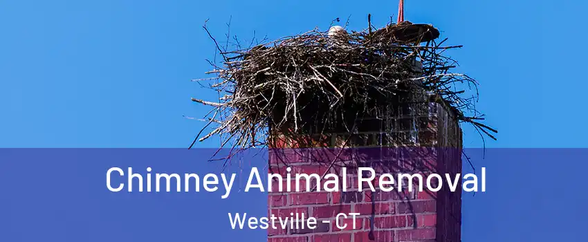 Chimney Animal Removal Westville - CT