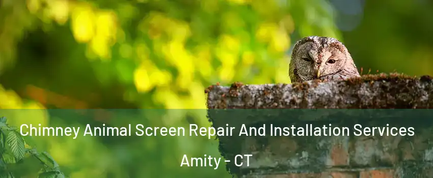 Chimney Animal Screen Repair And Installation Services Amity - CT