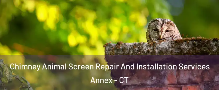 Chimney Animal Screen Repair And Installation Services Annex - CT