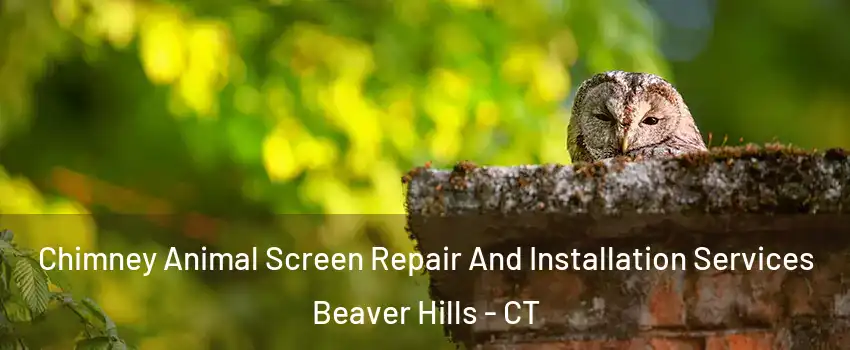 Chimney Animal Screen Repair And Installation Services Beaver Hills - CT