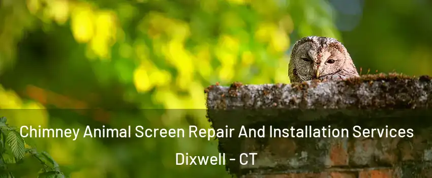 Chimney Animal Screen Repair And Installation Services Dixwell - CT