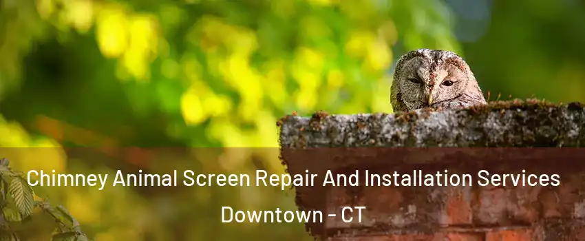 Chimney Animal Screen Repair And Installation Services Downtown - CT