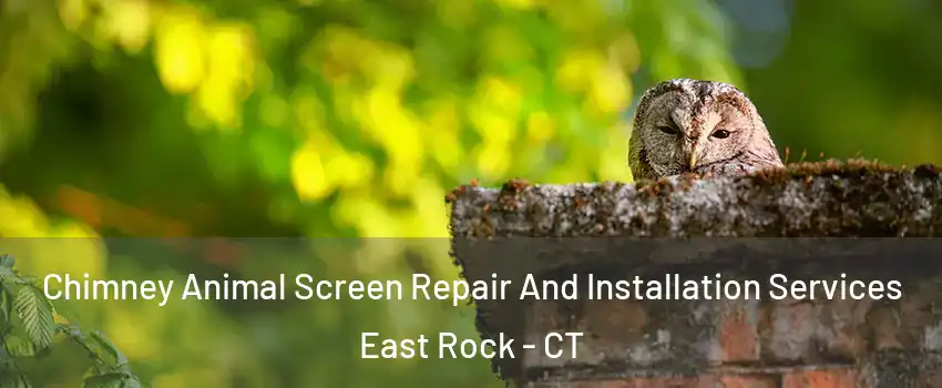 Chimney Animal Screen Repair And Installation Services East Rock - CT