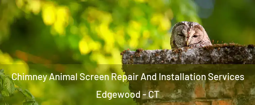 Chimney Animal Screen Repair And Installation Services Edgewood - CT