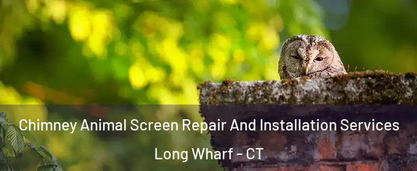 Chimney Animal Screen Repair And Installation Services Long Wharf - CT