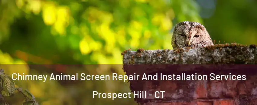 Chimney Animal Screen Repair And Installation Services Prospect Hill - CT