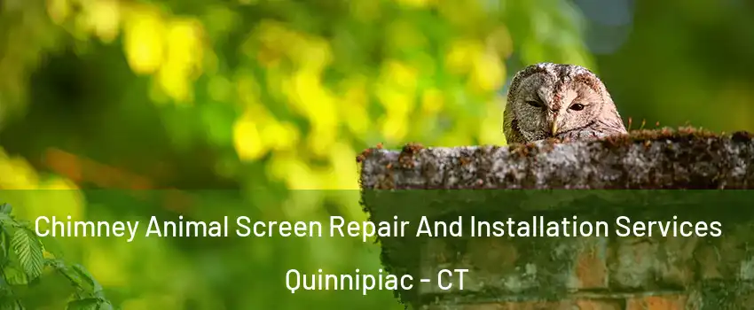Chimney Animal Screen Repair And Installation Services Quinnipiac - CT