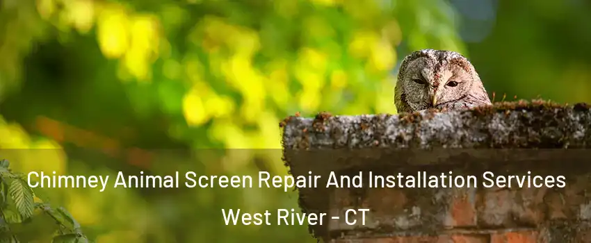 Chimney Animal Screen Repair And Installation Services West River - CT