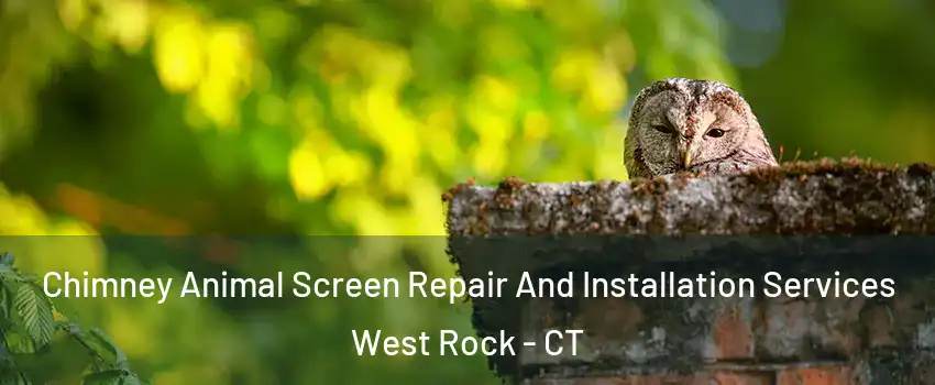 Chimney Animal Screen Repair And Installation Services West Rock - CT