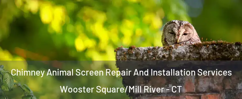 Chimney Animal Screen Repair And Installation Services Wooster Square/Mill River - CT