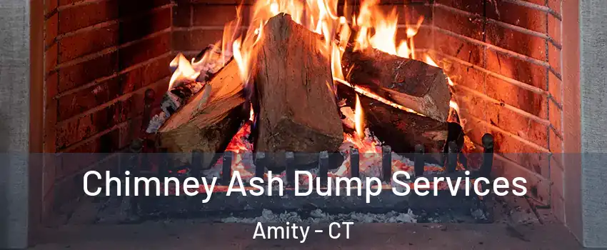 Chimney Ash Dump Services Amity - CT