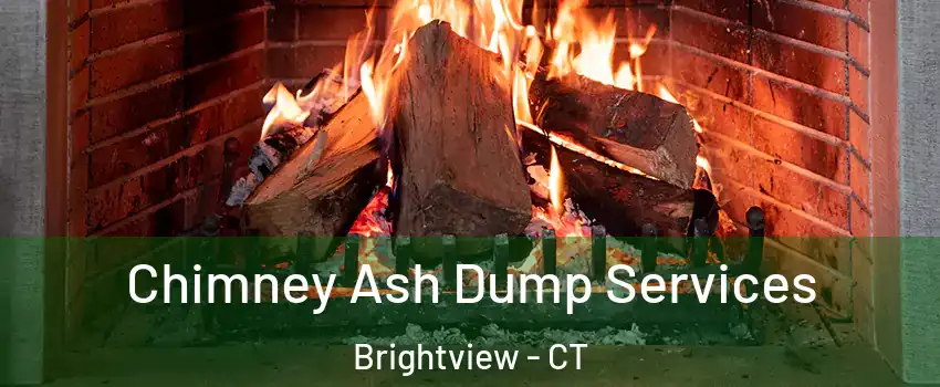 Chimney Ash Dump Services Brightview - CT