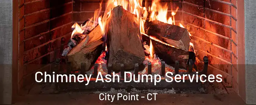 Chimney Ash Dump Services City Point - CT