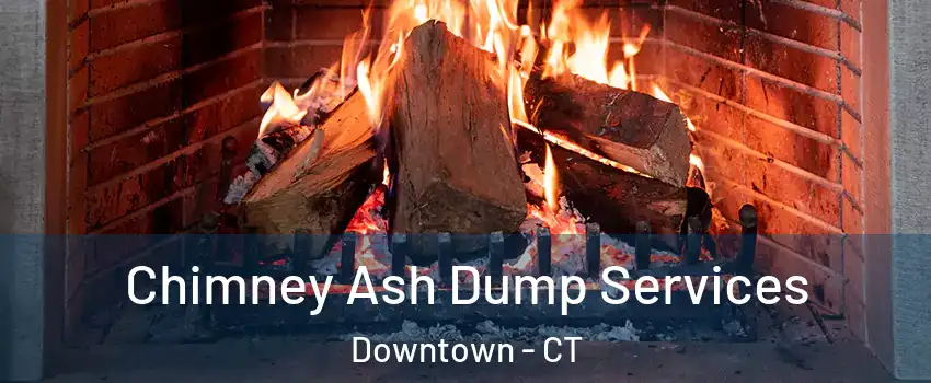 Chimney Ash Dump Services Downtown - CT