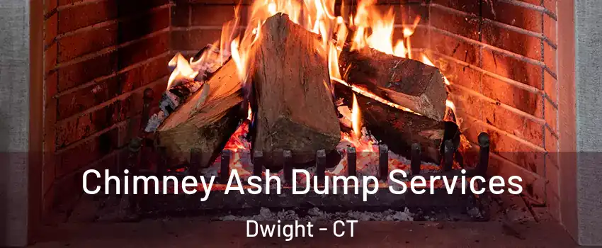 Chimney Ash Dump Services Dwight - CT