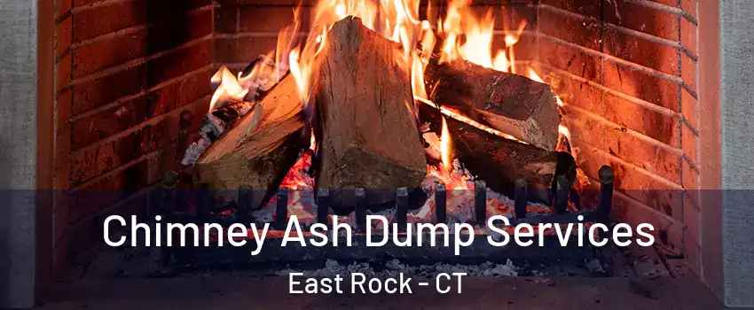 Chimney Ash Dump Services East Rock - CT