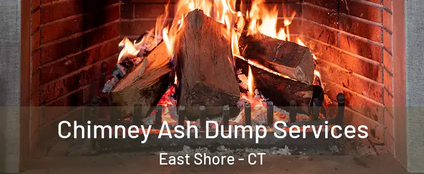 Chimney Ash Dump Services East Shore - CT