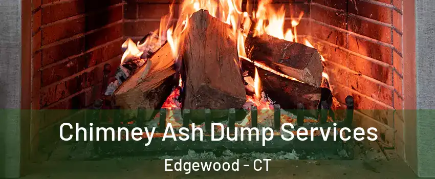 Chimney Ash Dump Services Edgewood - CT