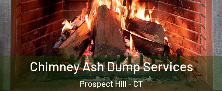 Chimney Ash Dump Services Prospect Hill - CT