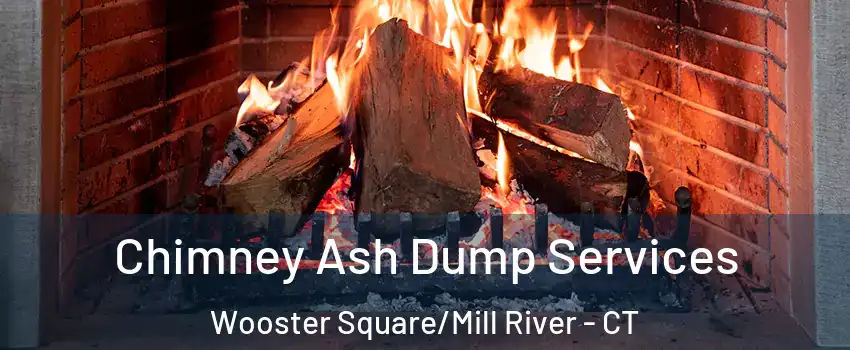 Chimney Ash Dump Services Wooster Square/Mill River - CT