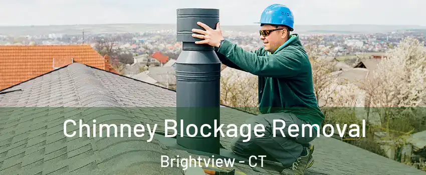 Chimney Blockage Removal Brightview - CT