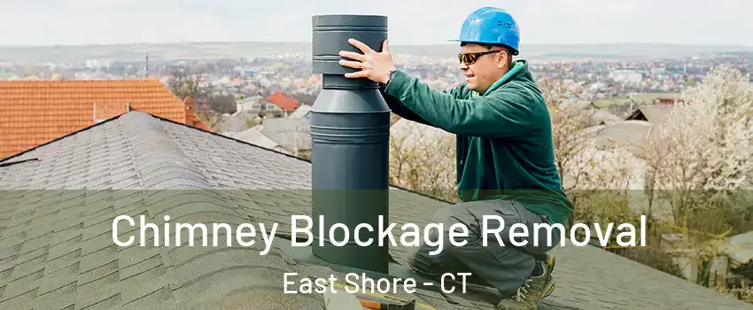 Chimney Blockage Removal East Shore - CT