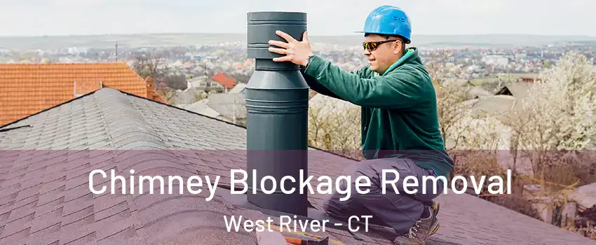 Chimney Blockage Removal West River - CT
