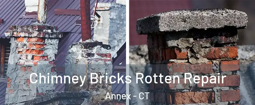 Chimney Bricks Rotten Repair Annex - CT