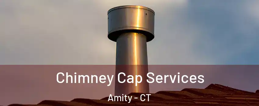 Chimney Cap Services Amity - CT