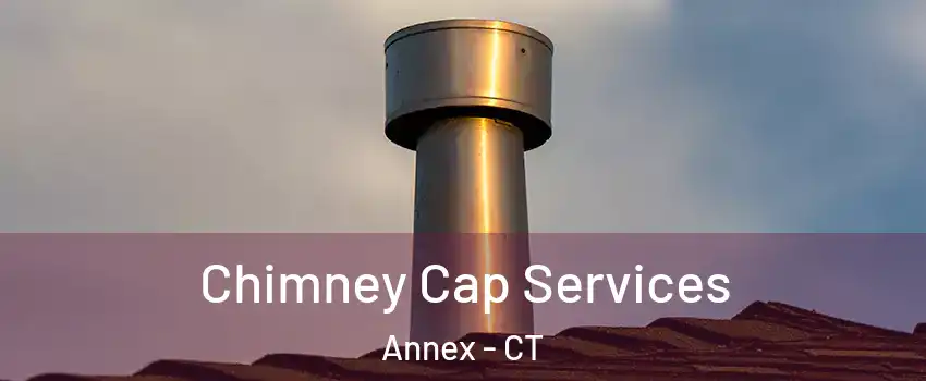 Chimney Cap Services Annex - CT