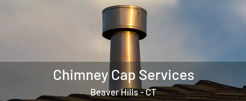 Chimney Cap Services Beaver Hills - CT