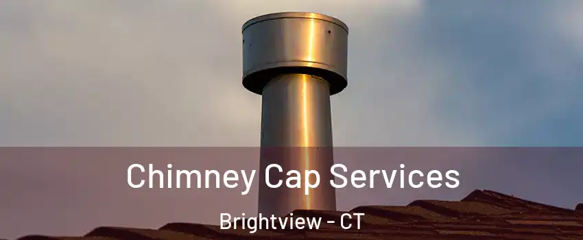 Chimney Cap Services Brightview - CT
