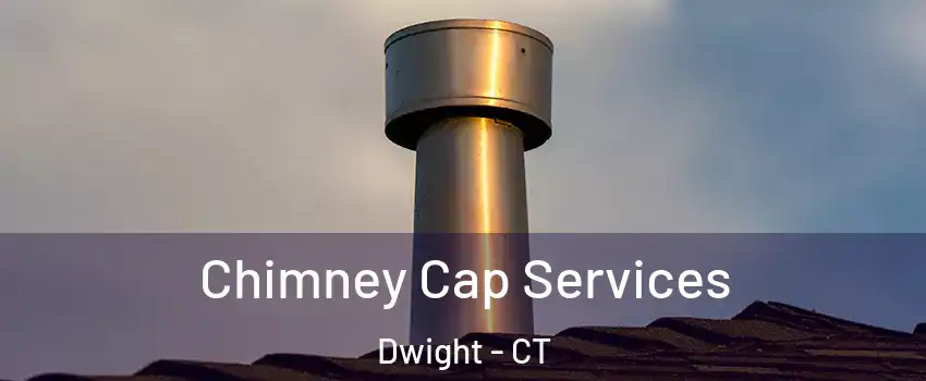 Chimney Cap Services Dwight - CT