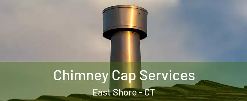 Chimney Cap Services East Shore - CT