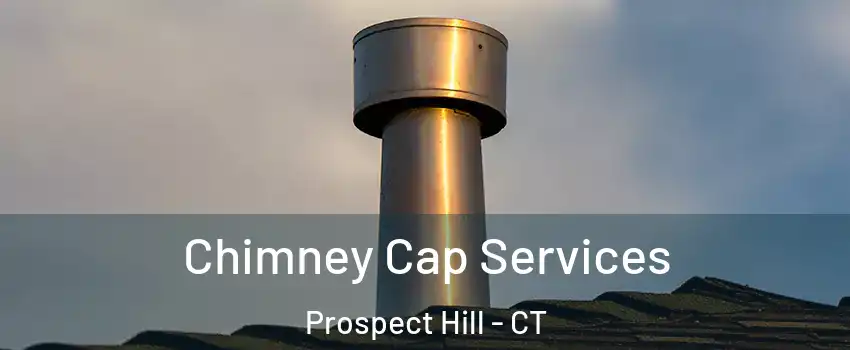 Chimney Cap Services Prospect Hill - CT