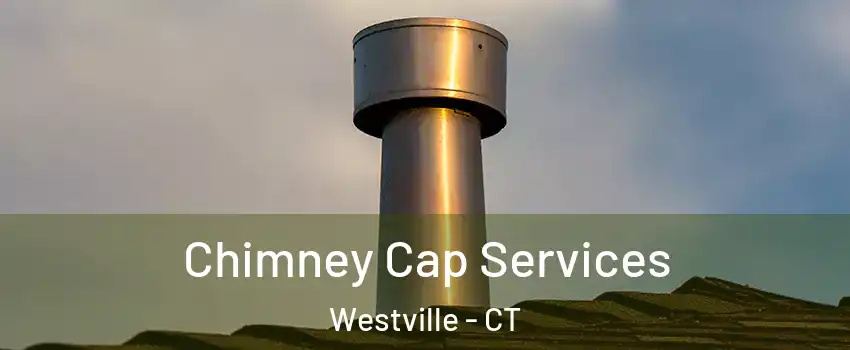 Chimney Cap Services Westville - CT