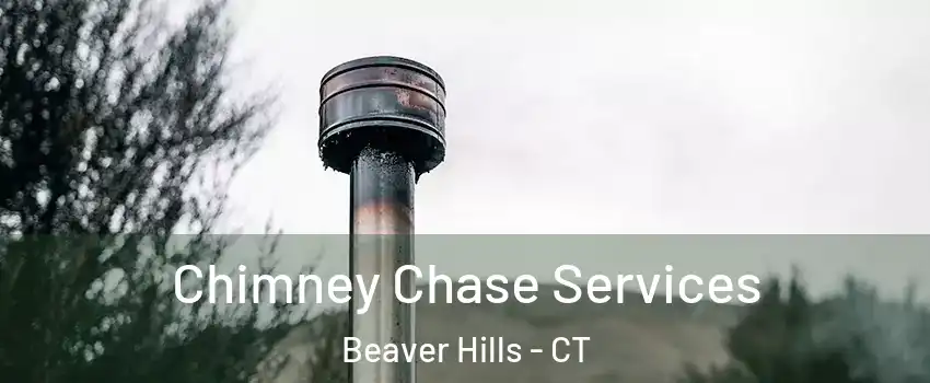 Chimney Chase Services Beaver Hills - CT