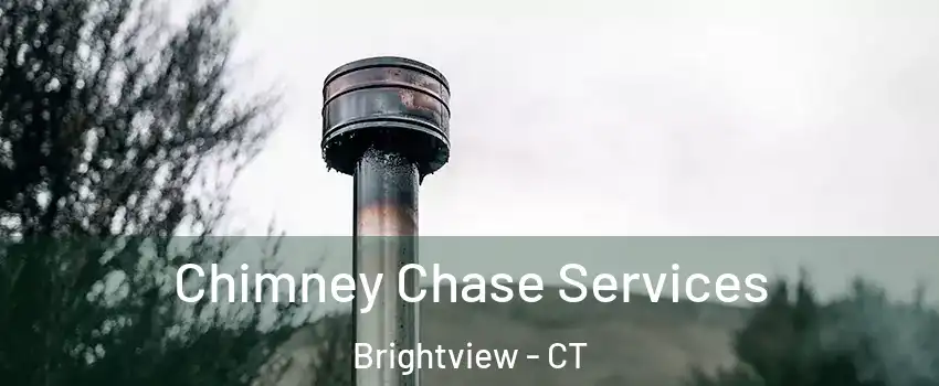Chimney Chase Services Brightview - CT