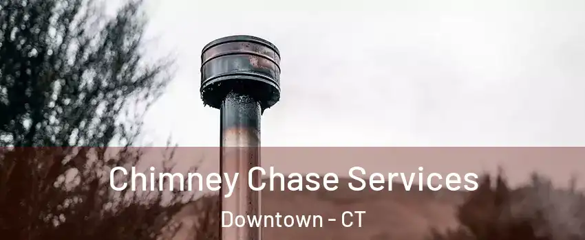 Chimney Chase Services Downtown - CT