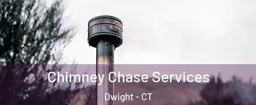 Chimney Chase Services Dwight - CT