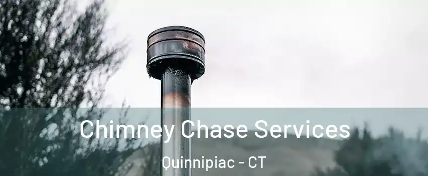 Chimney Chase Services Quinnipiac - CT
