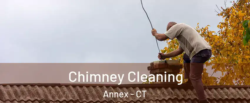 Chimney Cleaning Annex - CT