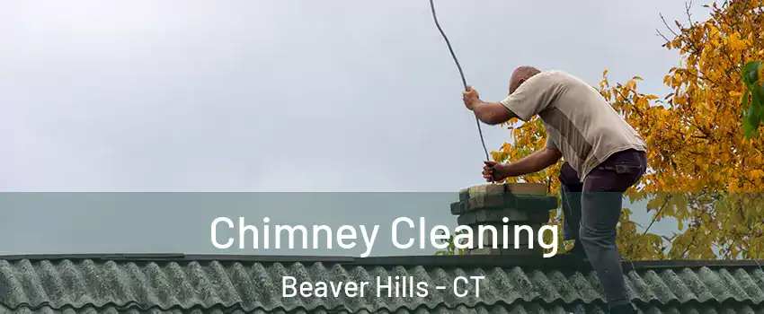Chimney Cleaning Beaver Hills - CT